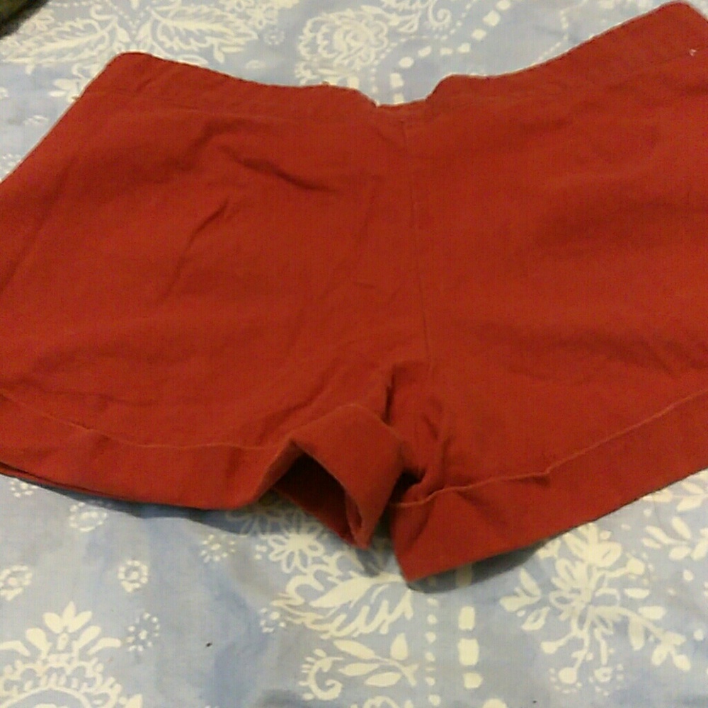 Shorts - Picture 4 of 4